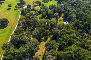 28140 7 Sisters Rd, New Caney, TX 77357 - Photo 21