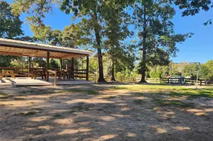 341 Antigua Dr, Point Blank, TX 77364 - Photo 37