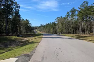 10698 Ruger Rd, Willis, TX 77378 - Photo 5