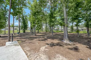 16626 Moss Ln, Porter, TX 77365 - Photo 33
