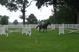 1114 Bringewood Chase Dr, Spring, TX 77379 - Photo 47