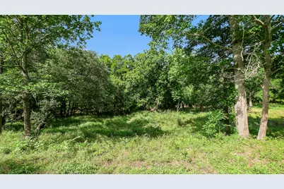 15610 Tierra Grande Drive, Needville, TX 77461 - Photo 7