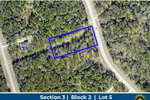 10742 Ruger Rd, Willis, TX 77378 - Photo 1