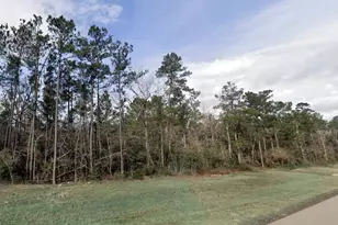 10742 Ruger Rd, Willis, TX 77378 - Photo 5