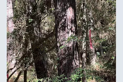 Tbd F M 1485 Street NW, Conroe, TX 77308 - Photo 11