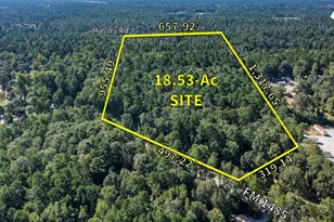 Tbd F M 1485 Street NW, Conroe, TX 77308 - Photo 1