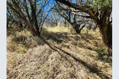 Tbd Forest Drive, Burnet, TX 78611 - Photo 7