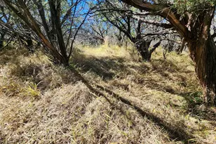 Tbd Forest Dr, Burnet, TX 78611 - Photo 7