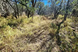 Tbd Forest Dr, Burnet, TX 78611 - Photo 9