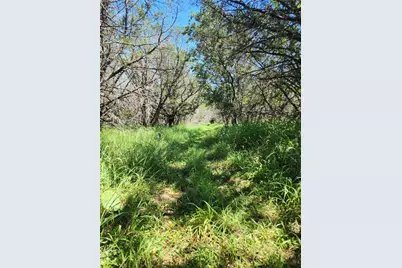 Tbd Forest Drive, Burnet, TX 78611 - Photo 5