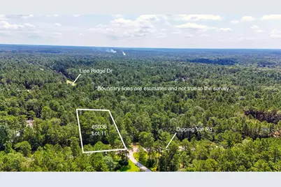 1.52 Acres Dipping Vat Road, Huntsville, TX 77340 - Photo 3