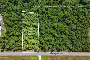 1 52 Acres Dipping Vat Rd, Huntsville, TX 77340 - Photo 1