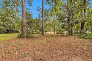 29526 W Hawthorne Dr, Spring, TX 77386 - Photo 11