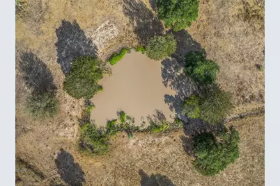 1102 Private Road 2332, Giddings, TX 78942 - Photo 41