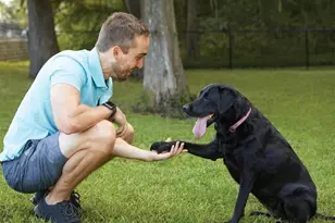 4717 Shelby Shr Dr, Texas City, TX 77591 - Photo 7