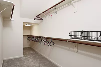 43 Crocus Petal Street, The Woodlands, TX 77382 - Photo 15