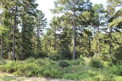 Tract 66 Private Road 1318, Centerville, TX 75833 - Photo 15