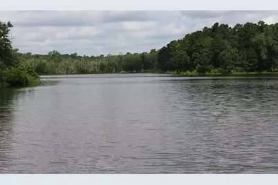 Tract 66 Private Road 1318, Centerville, TX 75833 - Photo 13