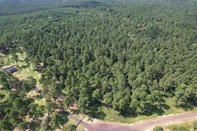 Tract 66 Private Road 1318, Centerville, TX 75833 - Photo 23