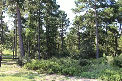 Tract 66 Private Road 1318, Centerville, TX 75833 - Photo 17