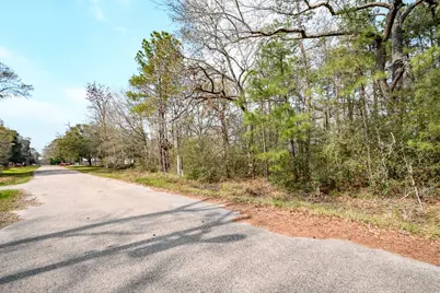 3521 Magnolia Drive, Porter, TX 77365 - Photo 7