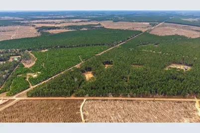 1208 Holly Grove Road, Livingston, TX 77351 - Photo 11