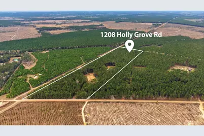 1208 Holly Grove Road, Livingston, TX 77351 - Photo 1