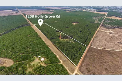1208 Holly Grove Road, Livingston, TX 77351 - Photo 3