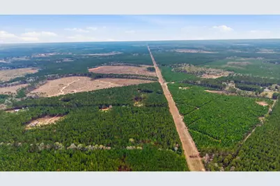 1208 Holly Grove Road, Livingston, TX 77351 - Photo 9