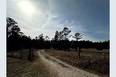 290 Over The Hill Road, Point Blank, TX 77364 - Photo 1