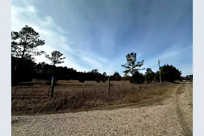 290 Over The Hill Road, Point Blank, TX 77364 - Photo 13