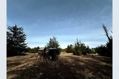 290 Over The Hill Road, Point Blank, TX 77364 - Photo 5