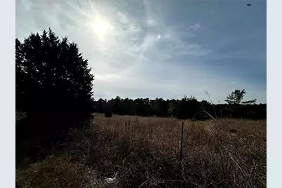 290 Over The Hill Road, Point Blank, TX 77364 - Photo 15