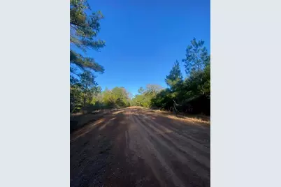 17922 Deerwood Drive, Hempstead, TX 77445 - Photo 5