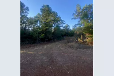 17922 Deerwood Drive, Hempstead, TX 77445 - Photo 7