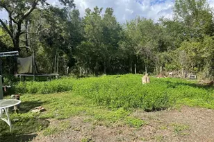 14127 FM 2759 Rd, Richmond, TX 77469 - Photo 3