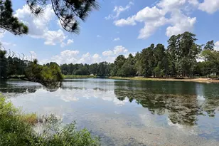 15218 Milton Whatley, Montgomery, TX 77316 - Photo 1