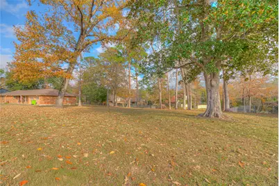 458 E Lake Drive, Livingston, TX 77351 - Photo 29