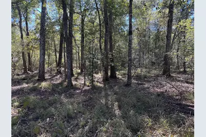 0 County Road 401, Dayton, TX 77535 - Photo 3