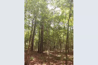 306 Deason Circle, Colmesneil, TX 75938 - Photo 3