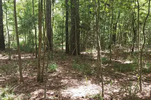 306 Deason Cir, Colmesneil, TX 75938 - Photo 1