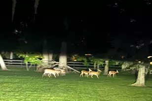 3618 Aspenwood Dr, Richmond, TX 77406 - Photo 49