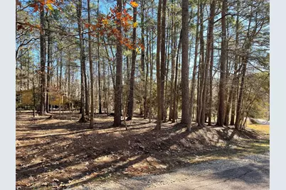 0 Cherry Hill Drive, Coldspring, TX 77331 - Photo 3