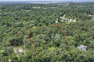 7393 Teaswood Dr, Conroe, TX 77304 - Photo 5