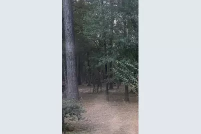 19008 Nottingham Lane, New Caney, TX 77357 - Photo 3