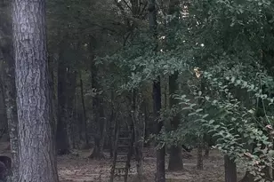 19008 Nottingham Ln, New Caney, TX 77357 - Photo 3