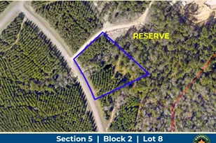 16018 Wood Grv Wy, Willis, TX 77378 - Photo 1