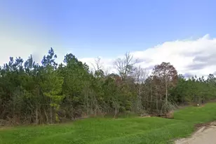 16018 Wood Grv Wy, Willis, TX 77378 - Photo 5