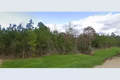 16018 Wood Grove Way, Willis, TX 77378 - Photo 5