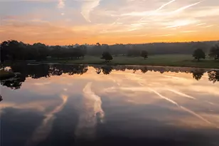 16018 Wood Grv Wy, Willis, TX 77378 - Photo 13